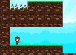 Ninja Gravity Adventure