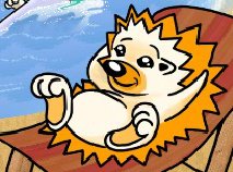Porcupine Pop